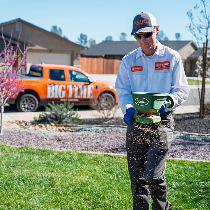 Big Time Pest Control Logo