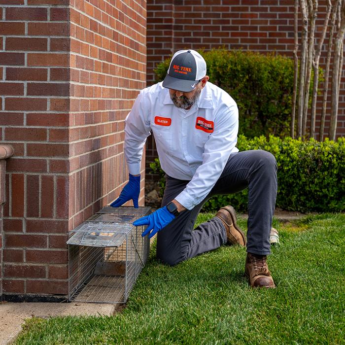 Big Time Pest Control Image