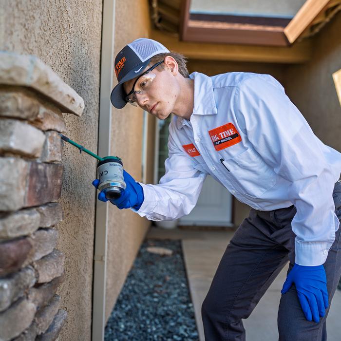 Big Time Pest Control Image