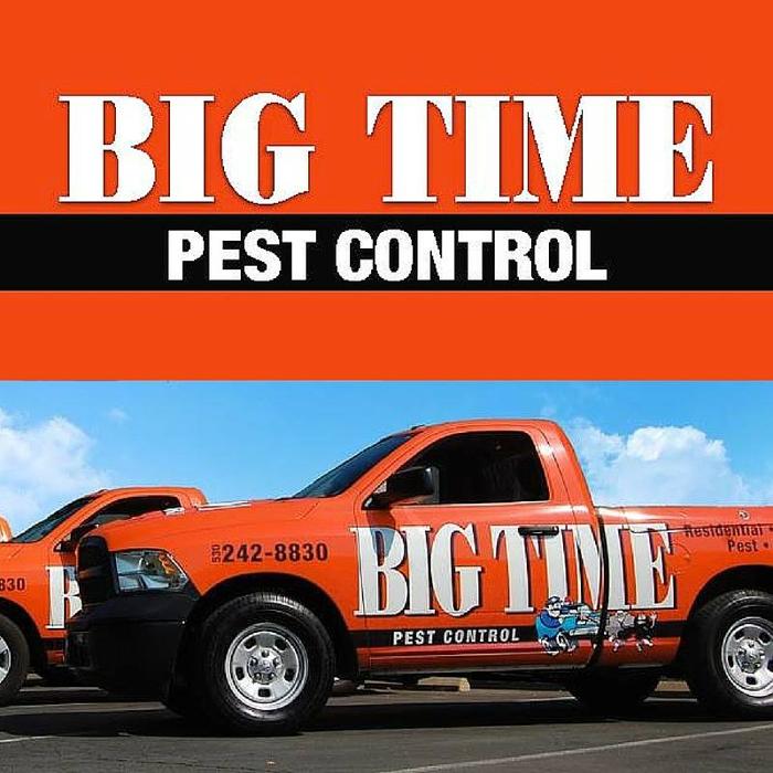 Big Time Pest Control Image