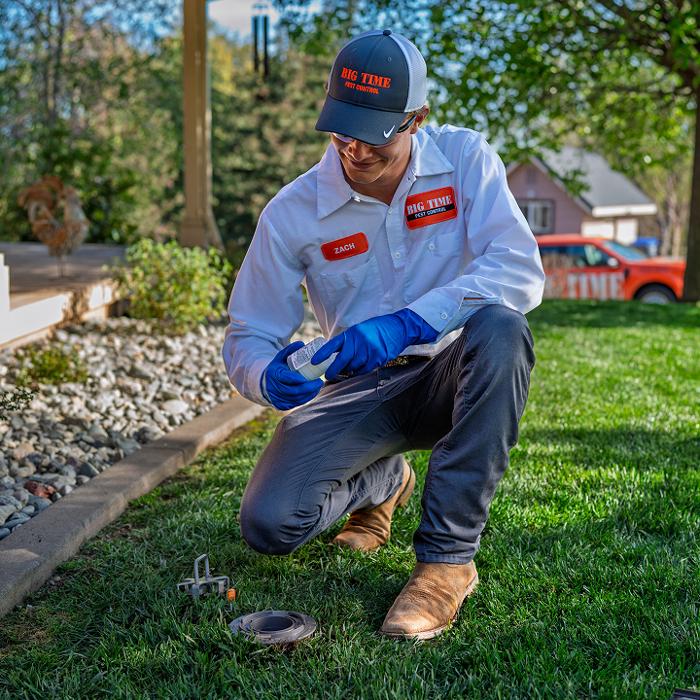 Big Time Pest Control Image