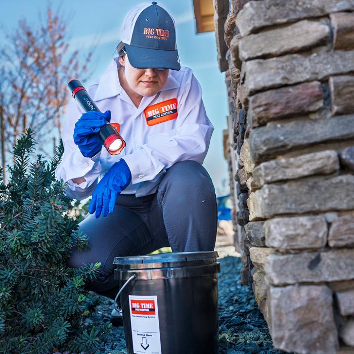 Big Time Pest Control Image