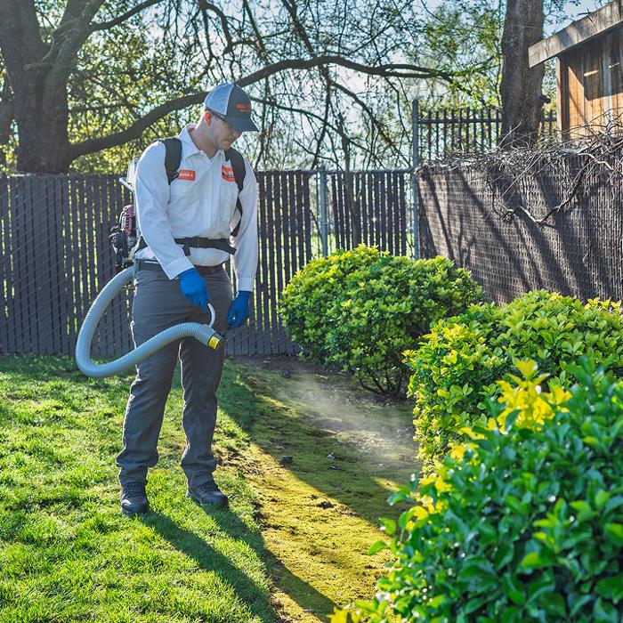 Big Time Pest Control Image