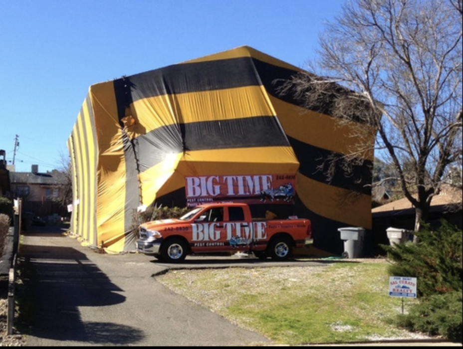 Big Time Pest Control Image