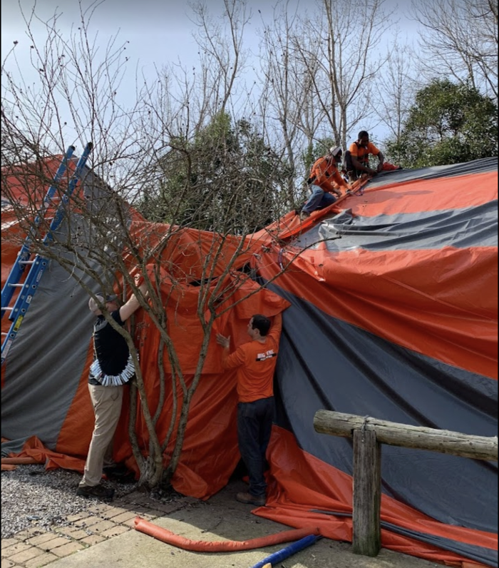 Big Time Pest Control Image