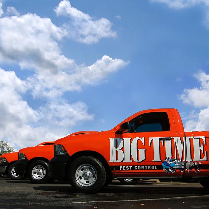 Big Time Pest Control Image