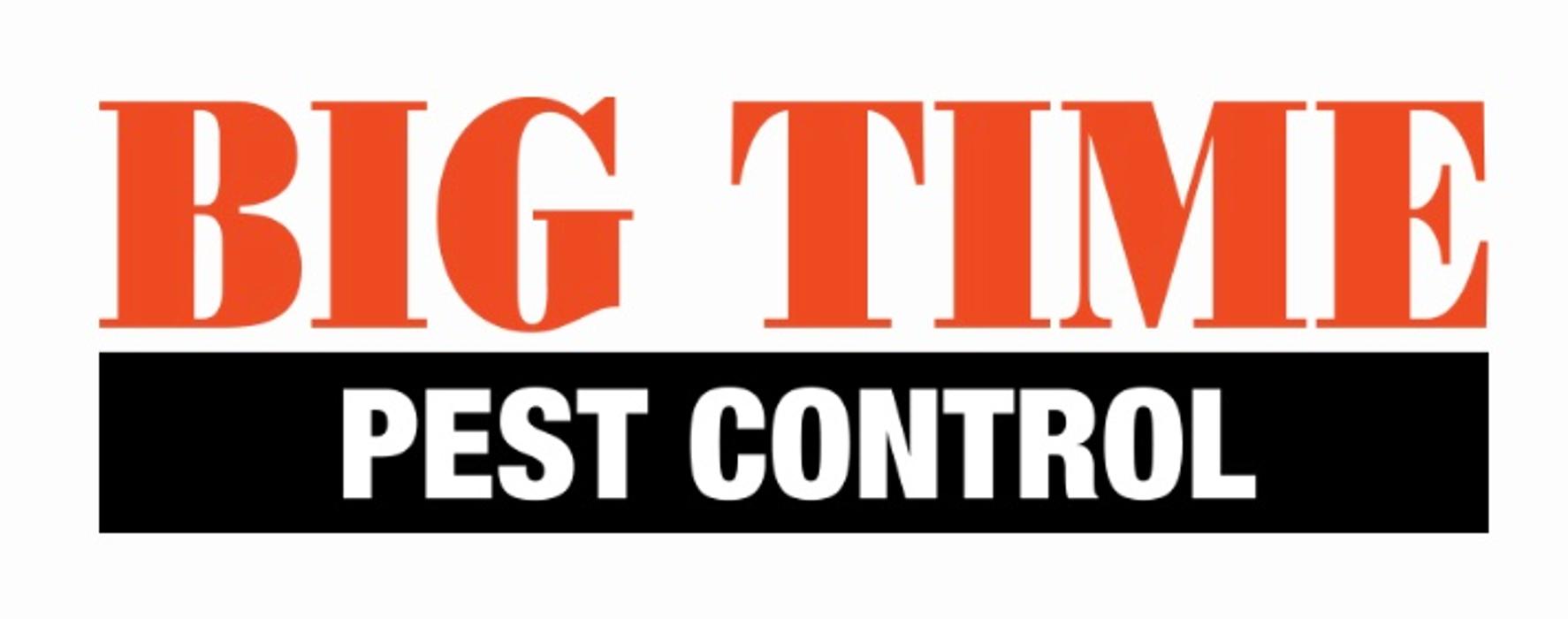 Big Time Pest Control Image