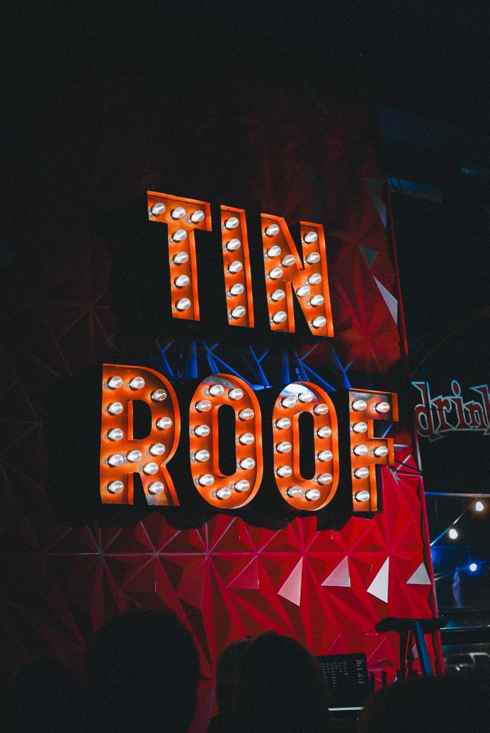 Tin Roof Image