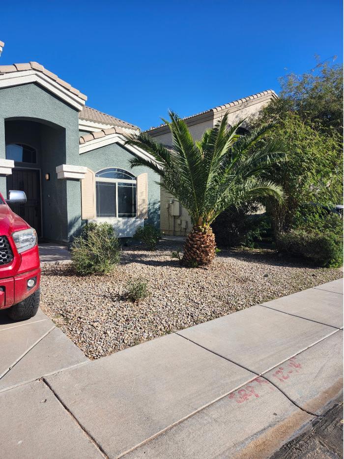 Rios Lawn &amp; Tree Care Logo