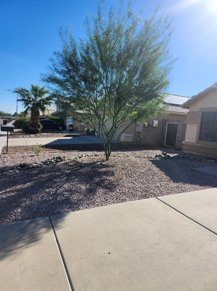 Rios Lawn & Tree Care Image