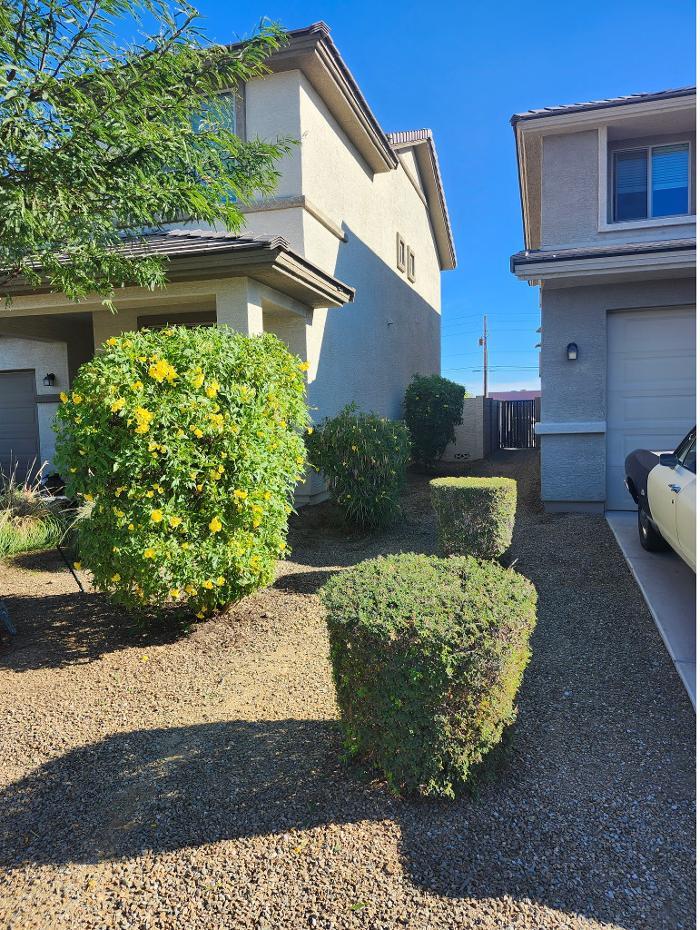 Rios Lawn & Tree Care Image