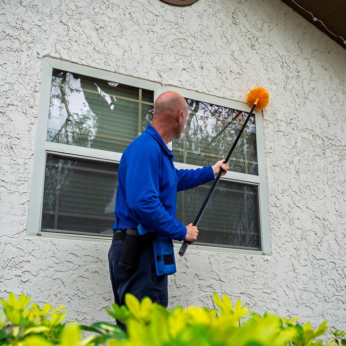 Anti-Pesto Bug Killers Inc Image