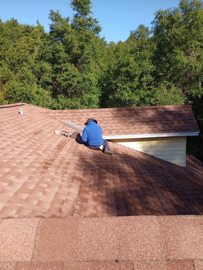 Anti-Pesto Bug Killers Inc Image