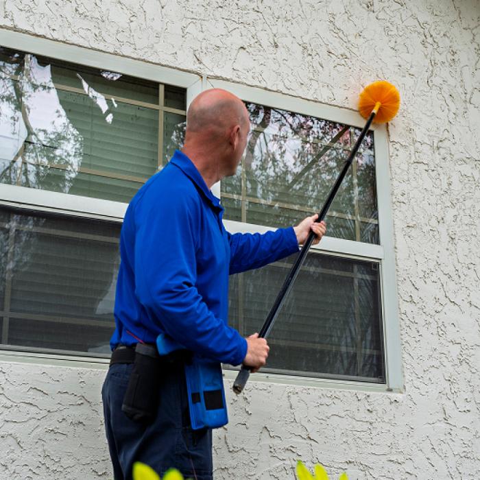 Anti-Pesto Bug Killers Inc Image