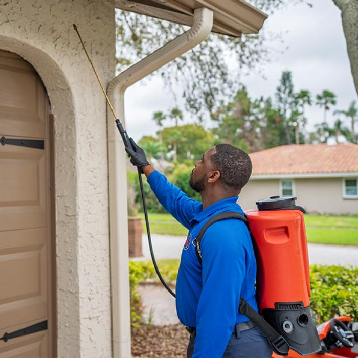 Anti-Pesto Bug Killers Inc Image