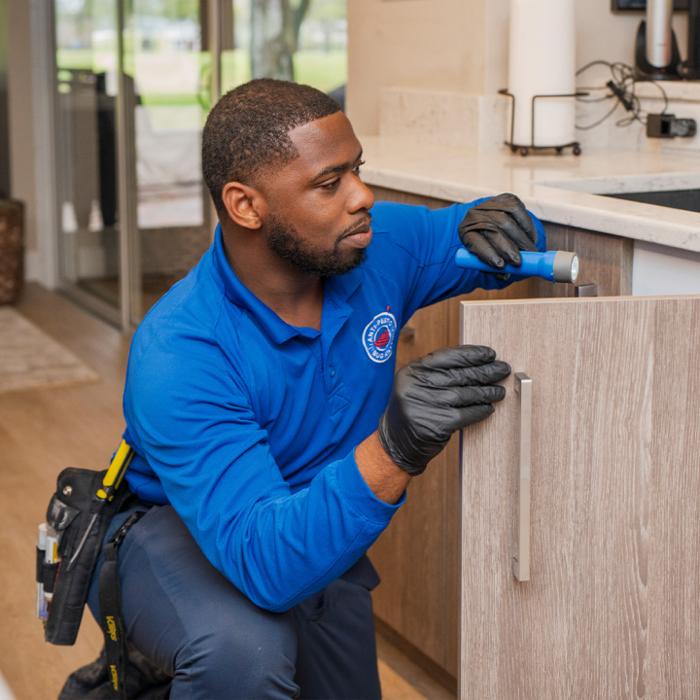 Anti-Pesto Bug Killers Inc Image