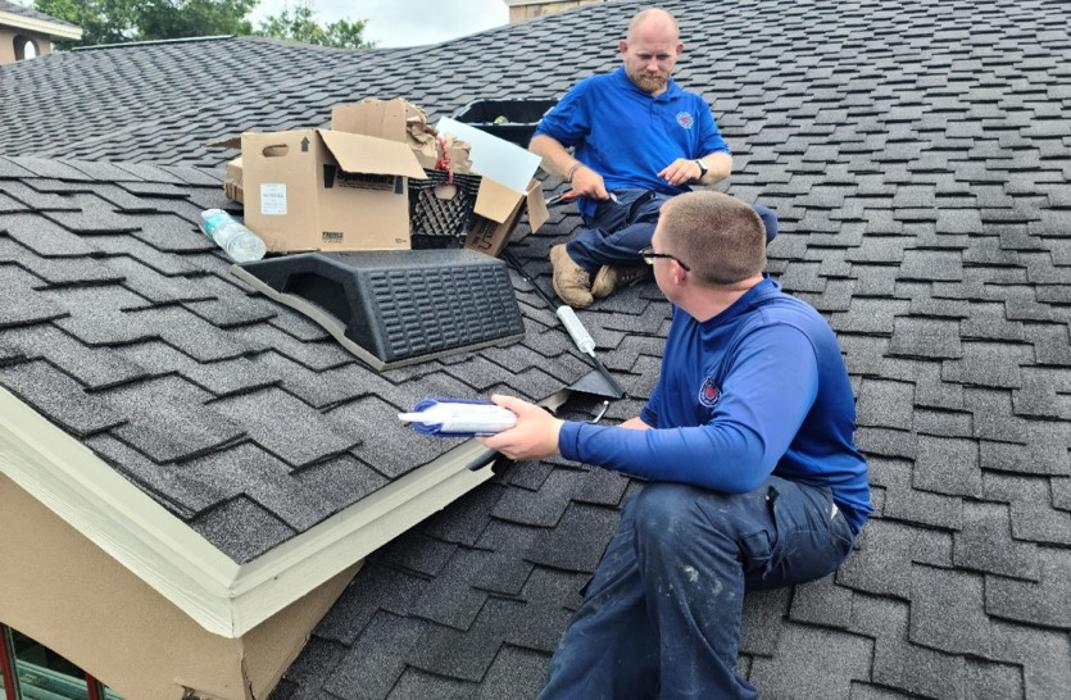 Anti-Pesto Bug Killers Inc Image