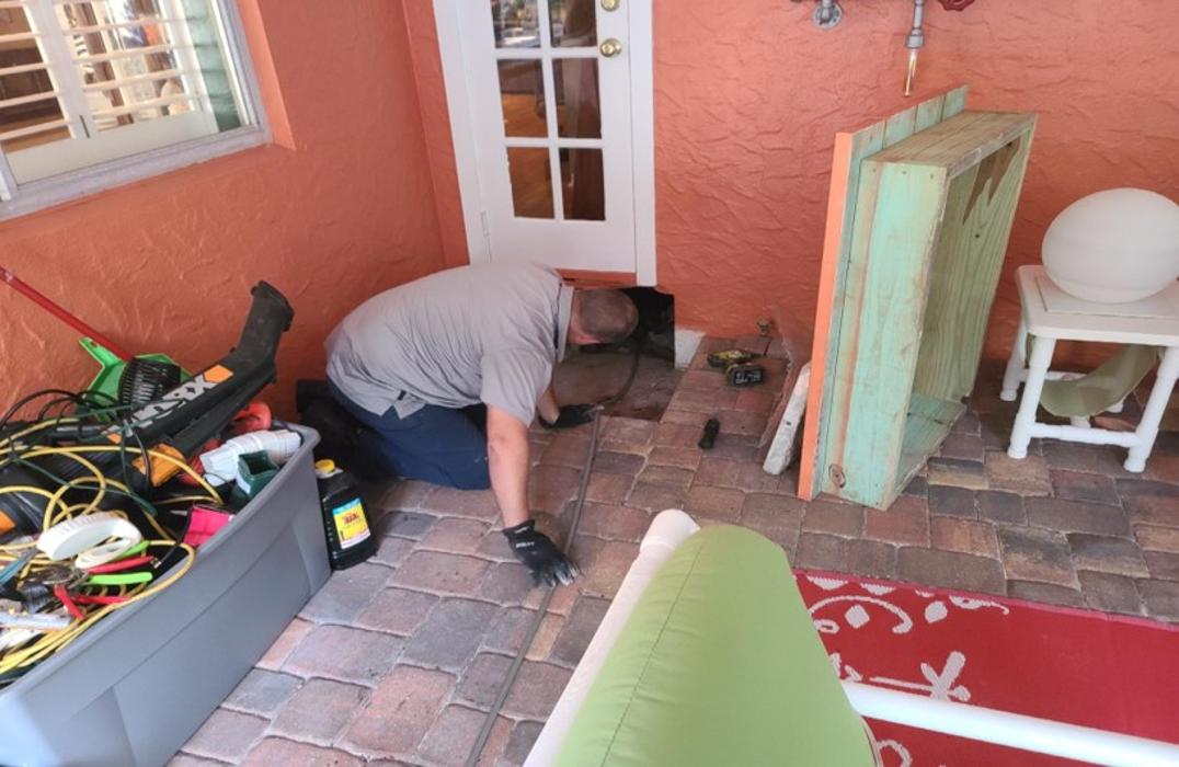 Anti-Pesto Bug Killers Inc Image