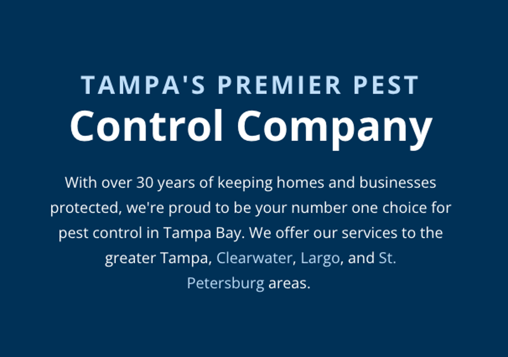 Anti-Pesto Bug Killers Inc Image