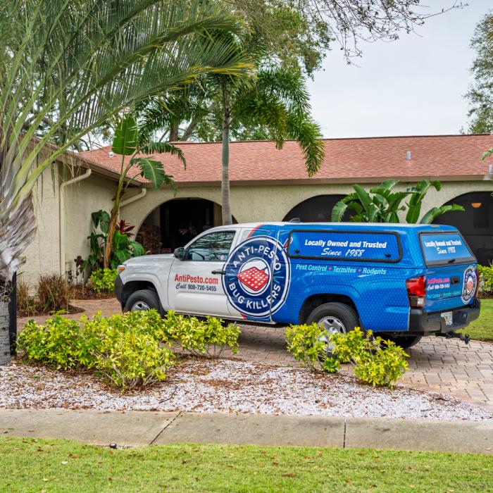 Anti-Pesto Bug Killers Inc Image