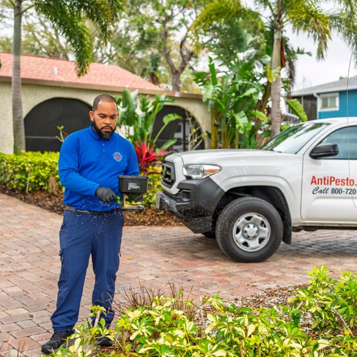 Anti-Pesto Bug Killers Inc Image