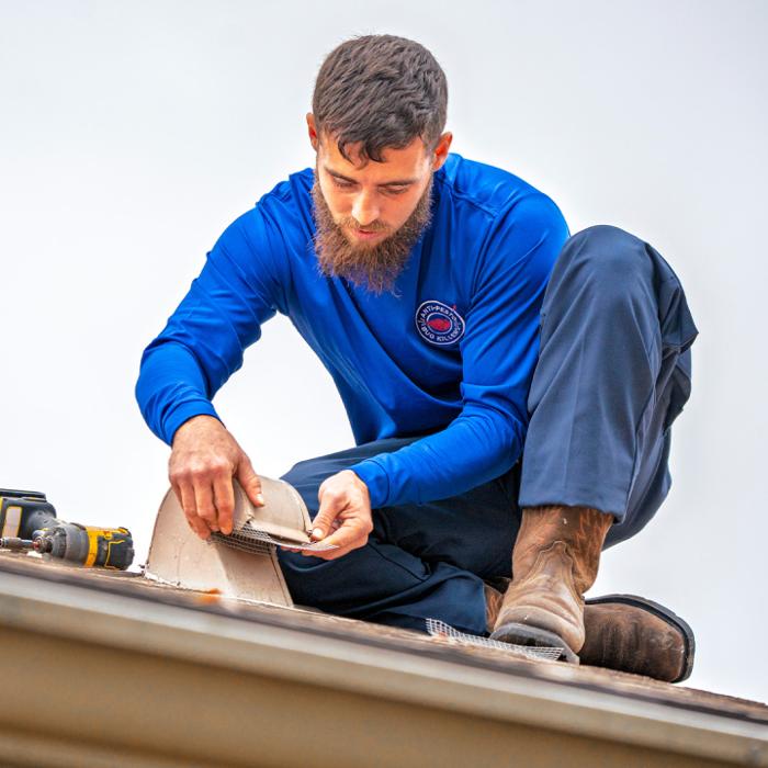 Anti-Pesto Bug Killers Inc Image