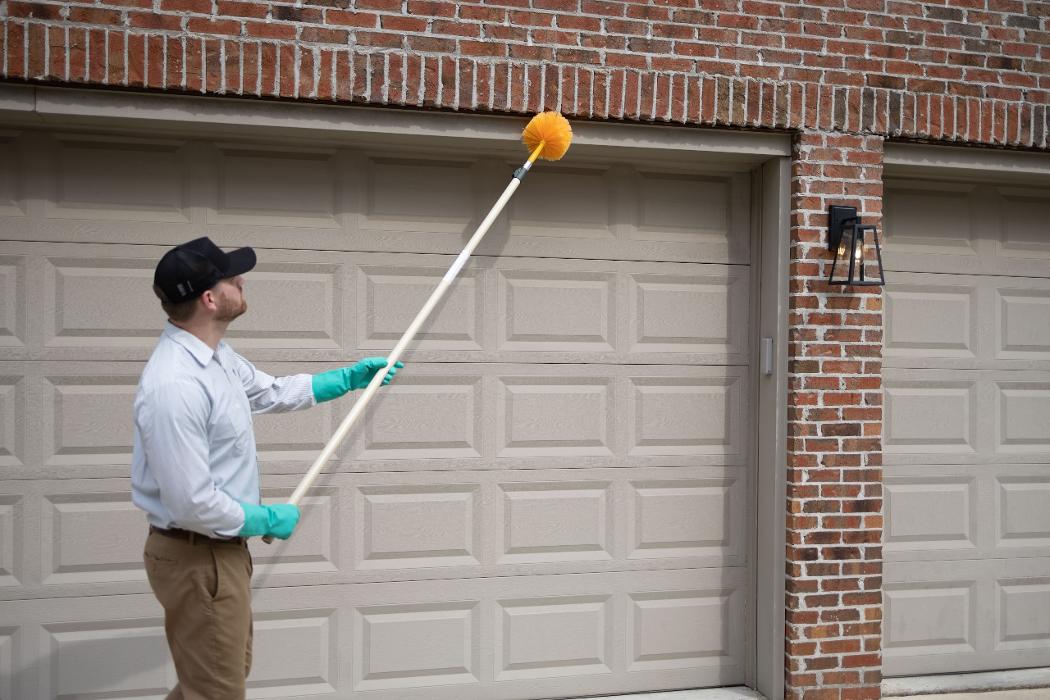 Evergreen Pest Solutions