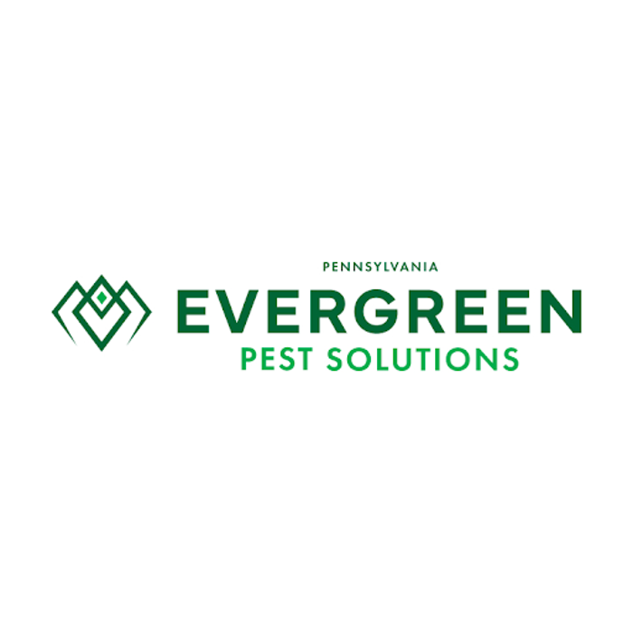 Evergreen Pest Solutions