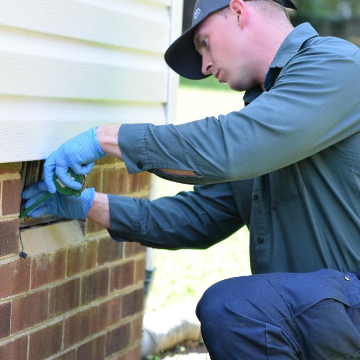 Evergreen Pest Solutions Image