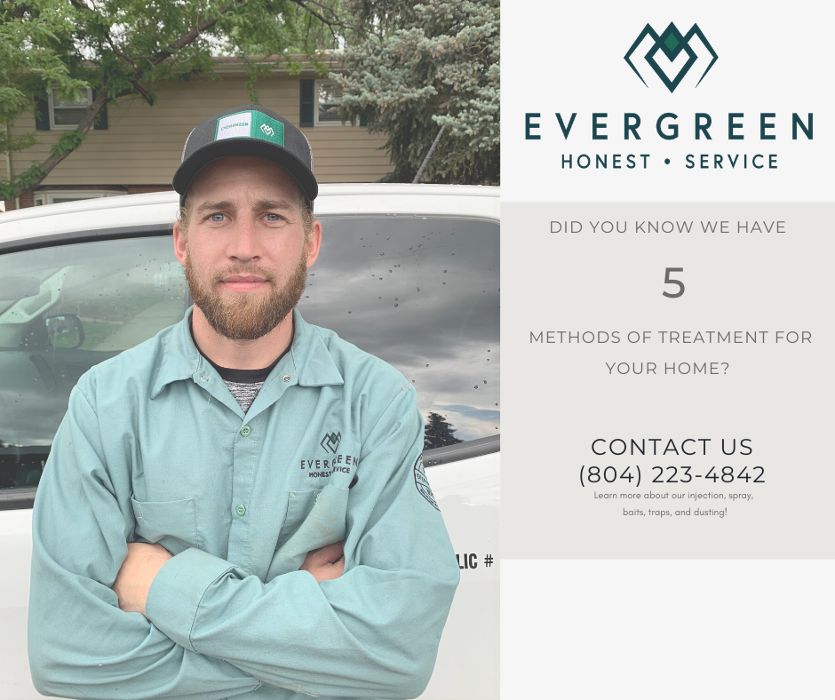Evergreen Pest Solutions Image