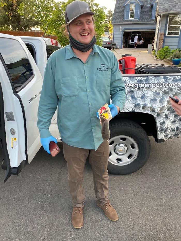 Evergreen Pest Solutions Image