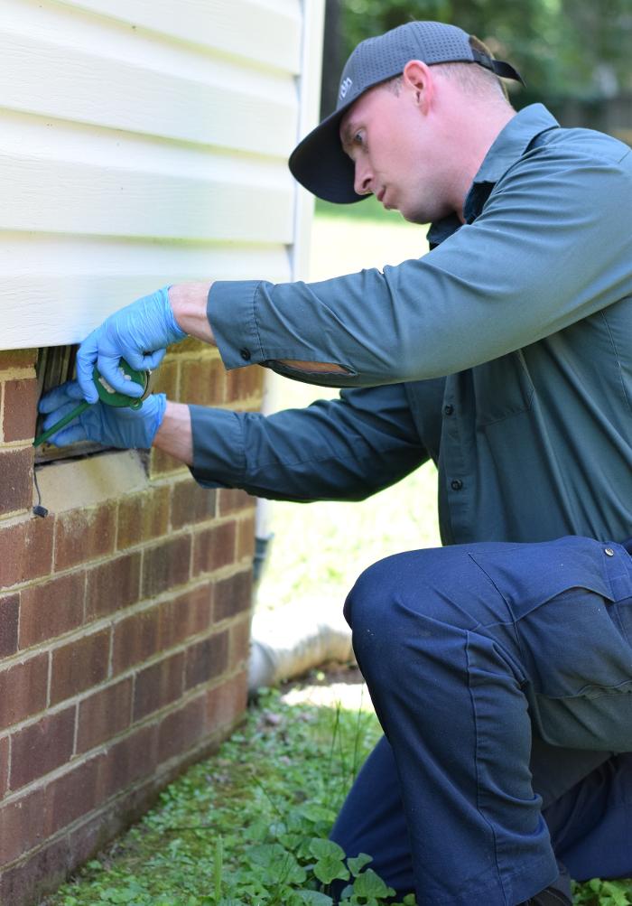 Evergreen Pest Solutions Image