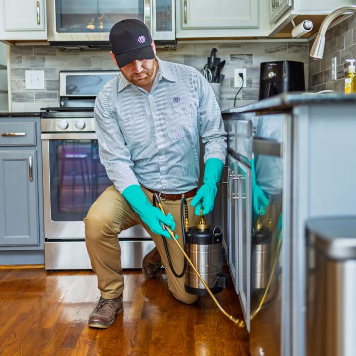 Evergreen Pest Solutions Image