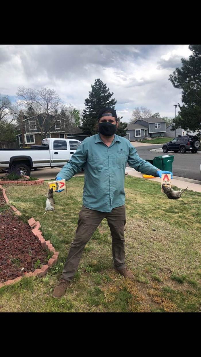 Evergreen Pest Solutions Image