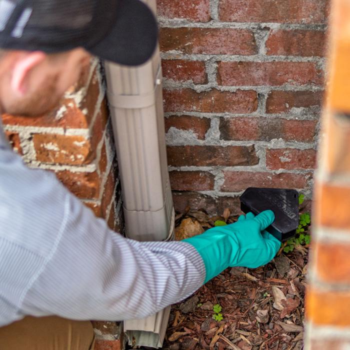 Evergreen Pest Solutions Image