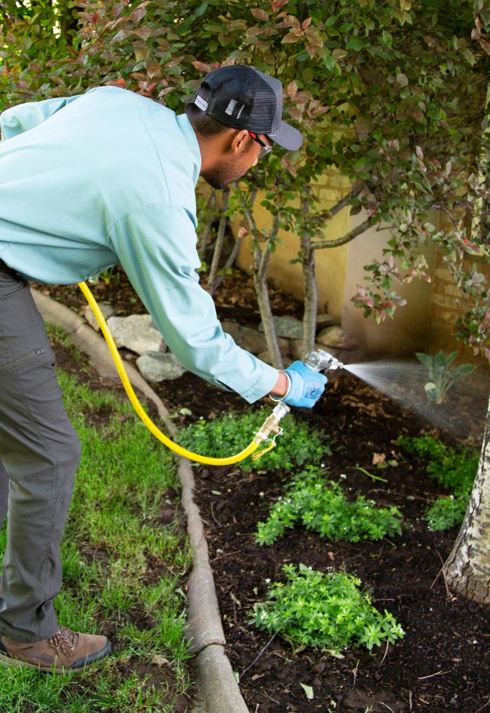 Evergreen Pest Solutions Image