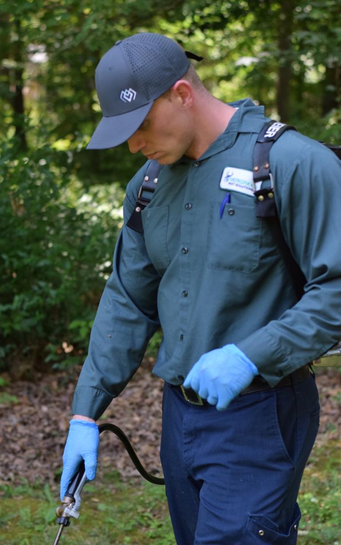 Evergreen Pest Solutions Image