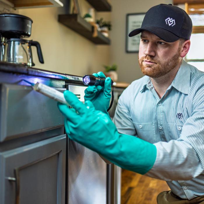 Evergreen Pest Solutions Image