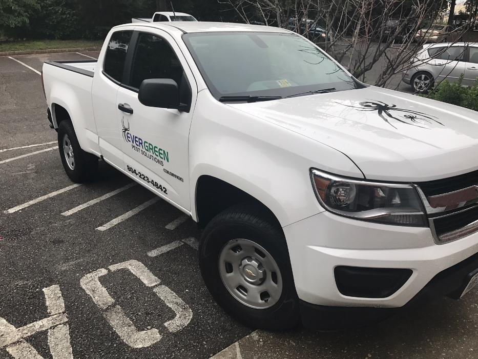 Evergreen Pest Solutions Image