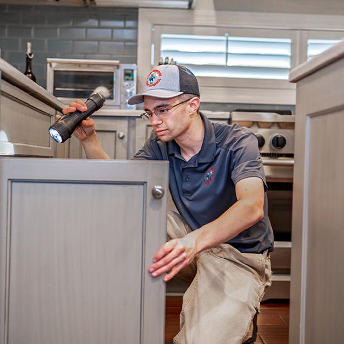 Four Seasons Pest Control Inc Image