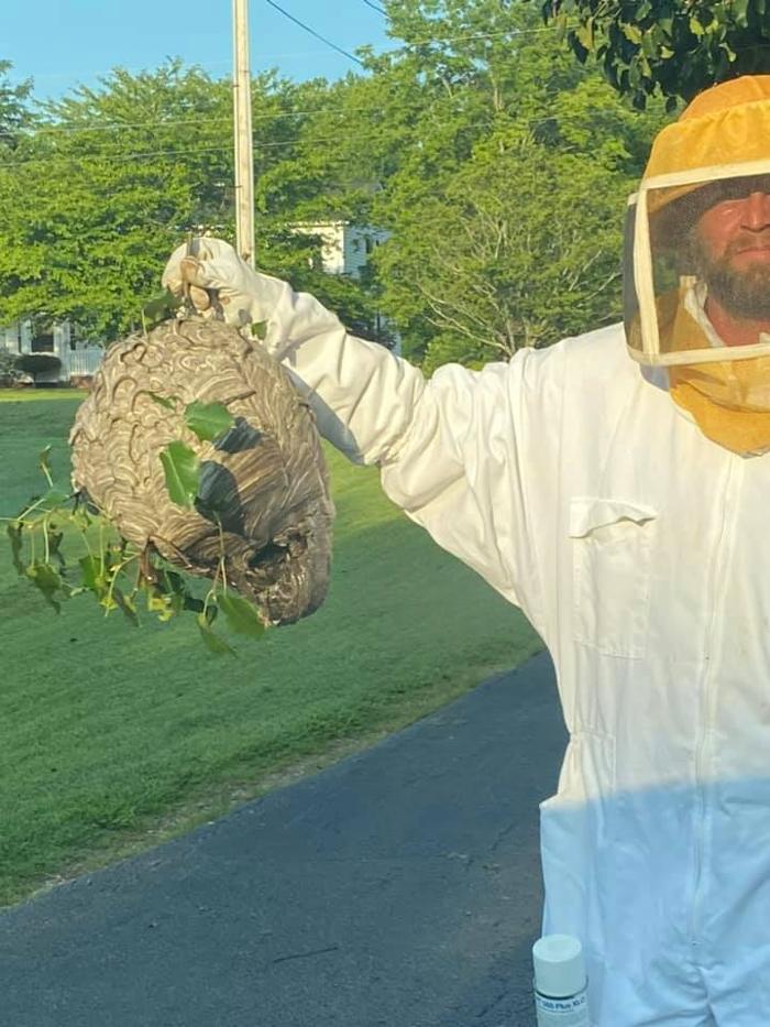 Four Seasons Pest Control Inc Image