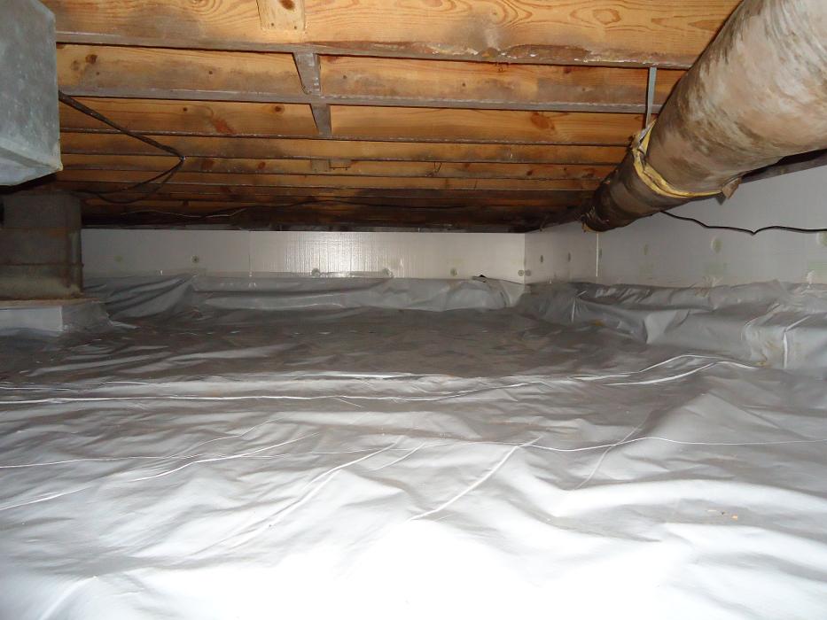 Four Seasons Pest Control Inc Image