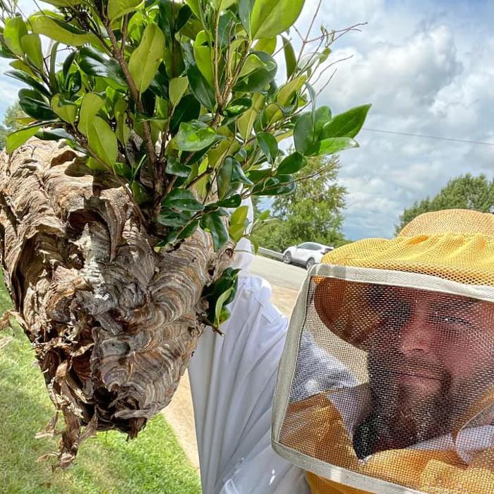 Four Seasons Pest Control Inc Image