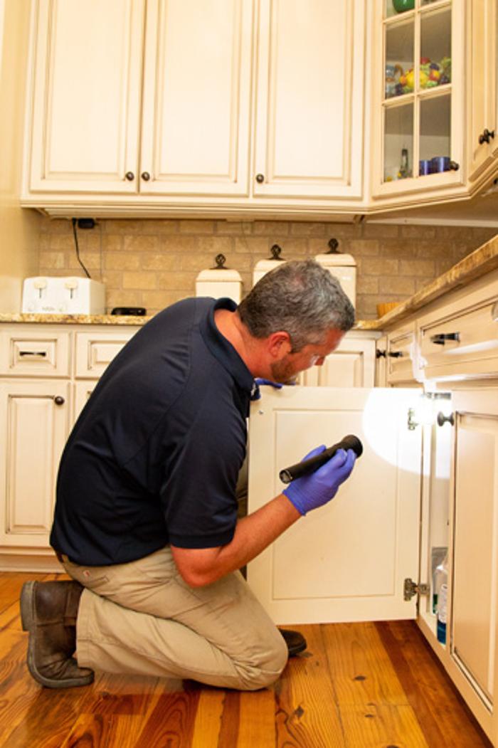 Harris Pest Control, Inc. - Kingstree, SC