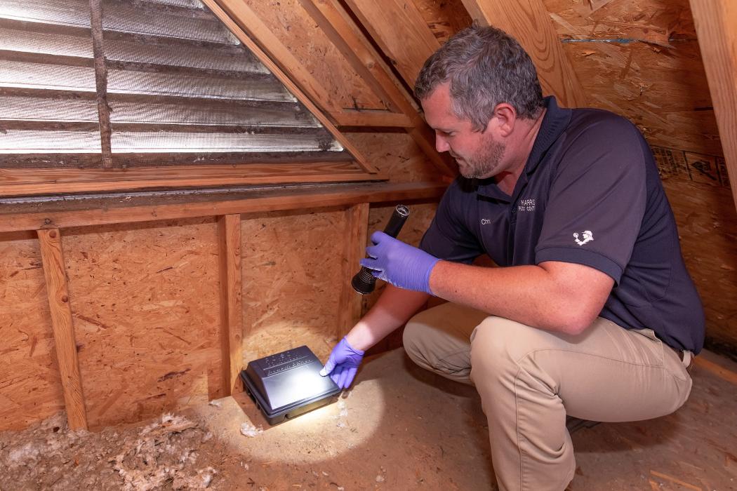 Harris Pest Control, Inc. - Kingstree, SC