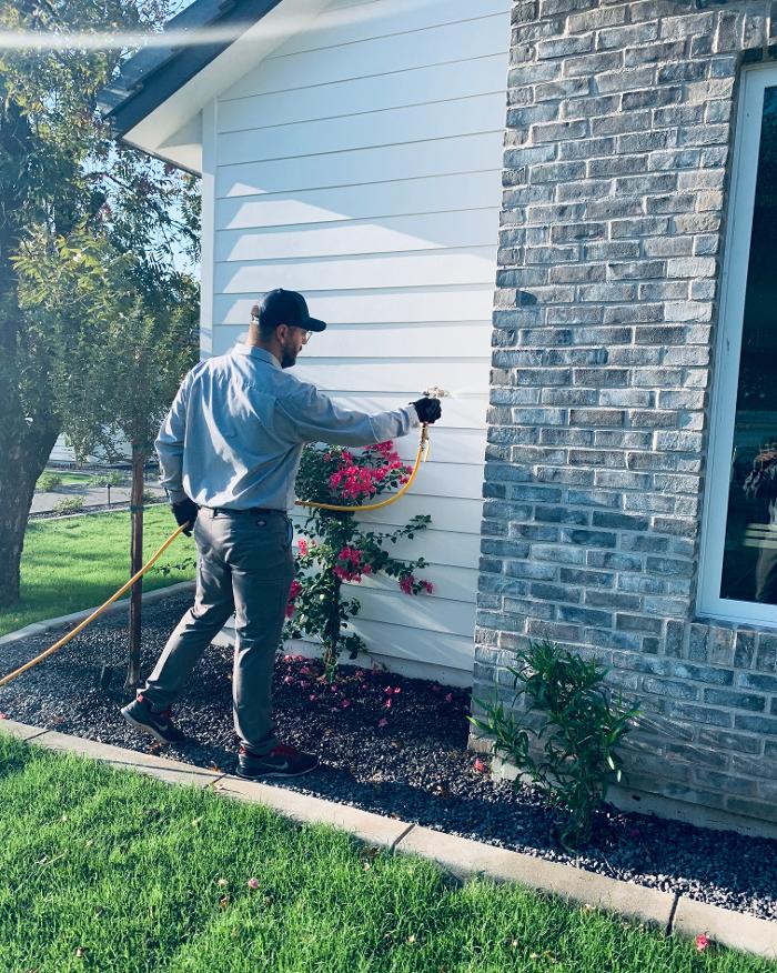 Termio Pest Control Image