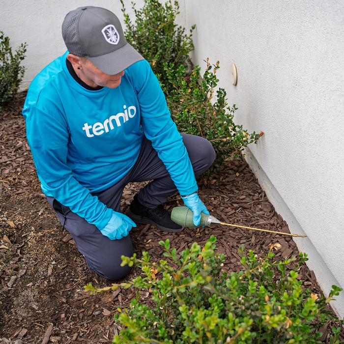 Termio Pest Control Image