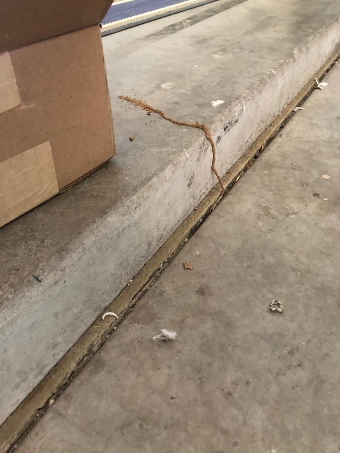 Termio Pest Control Image