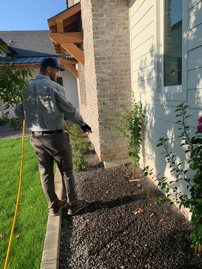 Termio Pest Control Image