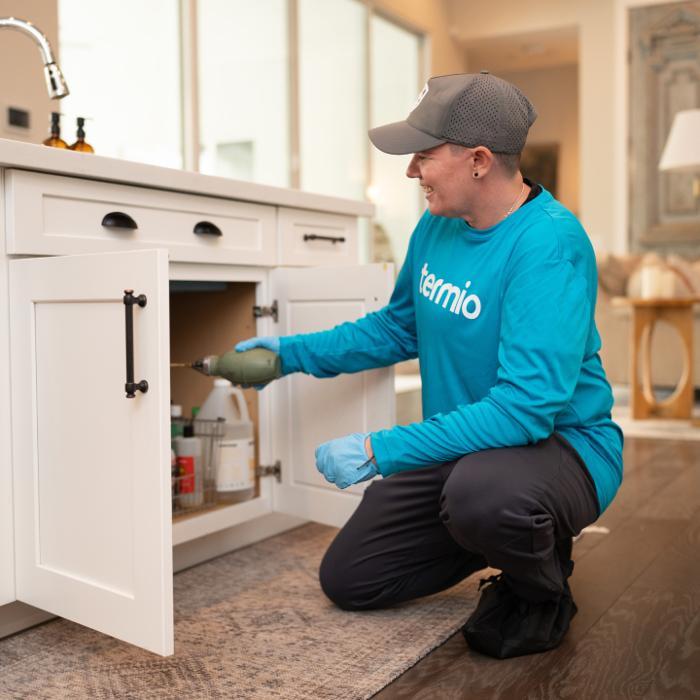 Termio Pest Control Image